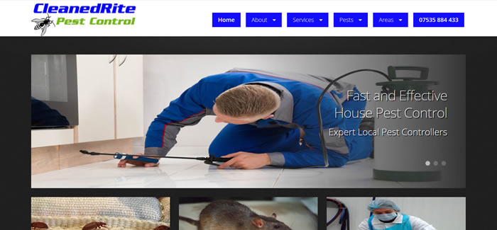 new website for Pest Control in London